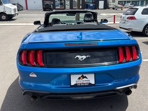 Used 2019 Ford Mustang Premium w/ Equipment Group 201A RWD image 6