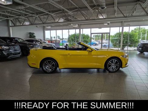 Used 2016 Ford Mustang Premium RWD image 11