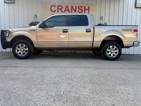 Used 2013 Ford F150 XLT w/ Luxury Equipment Group AWD/4WD image 5