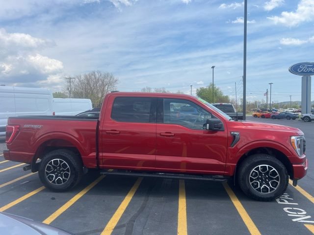 Used 2023 Ford F150 XLT w/ Equipment Group 302A High AWD/4WD image 8