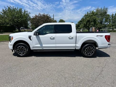 Certified 2023 Ford F150 XLT w/ Equipment Group 302A High AWD/4WD image 6