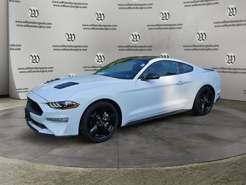 Used 2023 Ford Mustang Coupe w/ Equipment Group 101A RWD image 1