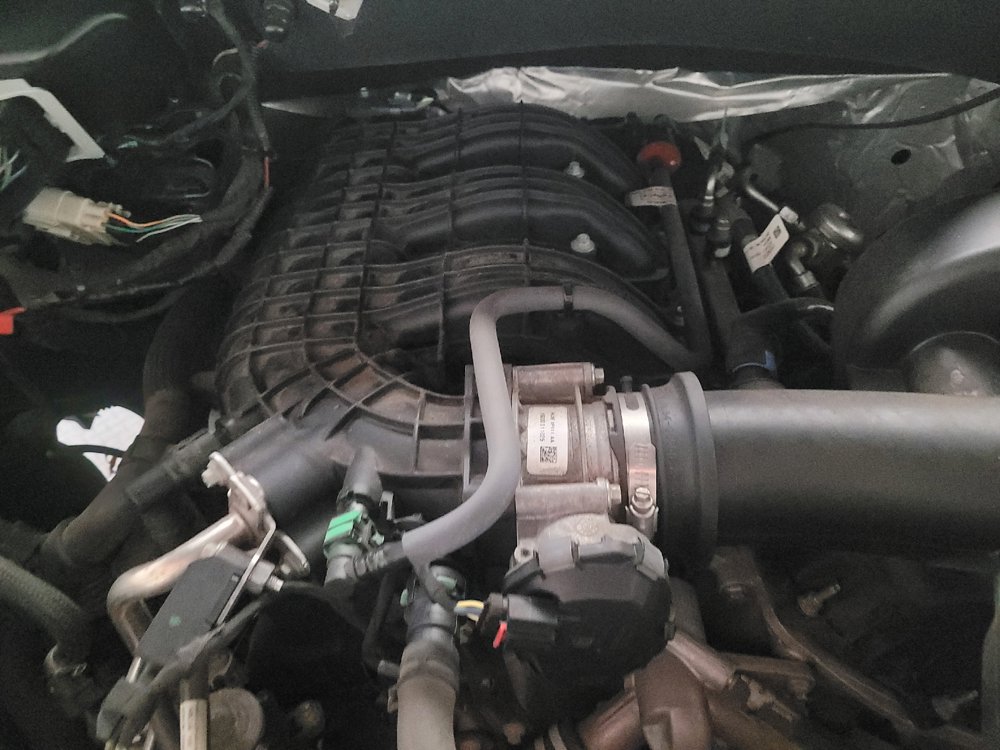 Used 2019 Ford F150 XLT RWD image 30