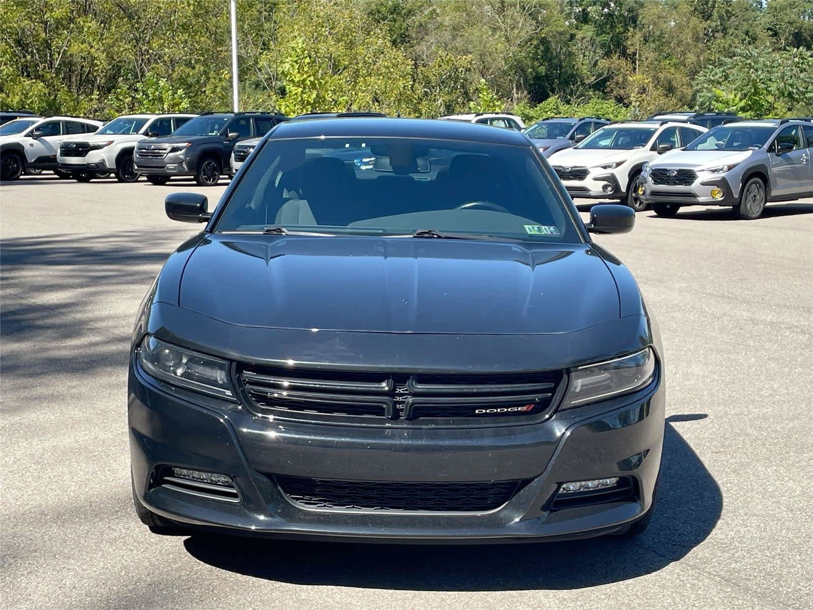 Used 2019 Dodge Charger SXT w/ Cold Weather Package AWD/4WD image 5
