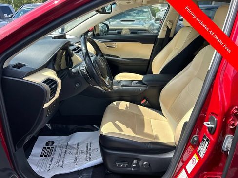 Used 2019 Lexus NX 300 AWD w/ Luxury Package image 2