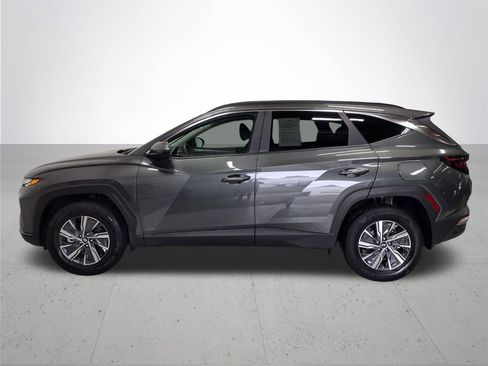 Certified 2024 Hyundai Tucson Blue image 11