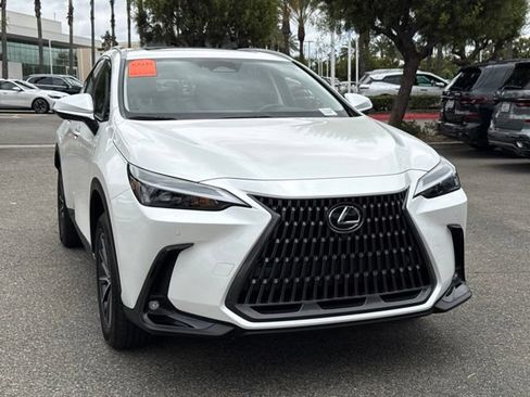 Used 2025 Lexus NX 350h AWD w/ Cold Area Package image 5