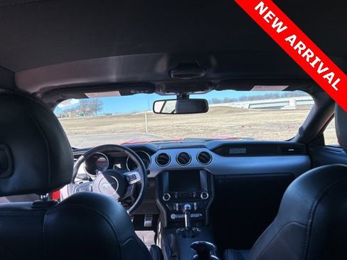 Used 2015 Ford Mustang Premium w/ Equipment Group 201A image 9