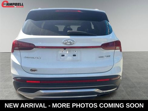 Used 2023 Hyundai Santa Fe Limited image 4