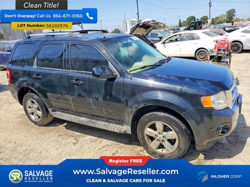 Used 2010 Ford Escape Limited FWD image 5