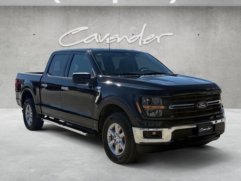 Certified 2025 Ford F150 XLT w/ Equipment Group 301A Standard image 2