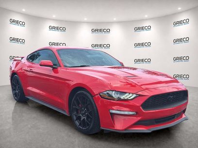 Used 2019 Ford Mustang Coupe w/ Ecoboost Performance Package