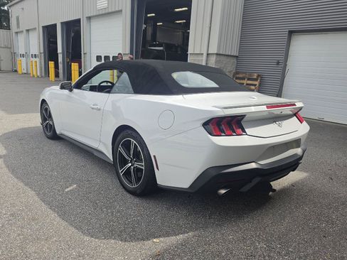 Used 2024 Ford Mustang Premium RWD image 11