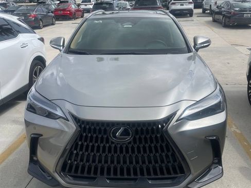 Used 2025 Lexus NX 250 FWD w/ Cold Area Package image 4