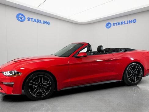 Used 2020 Ford Mustang Premium RWD image 2