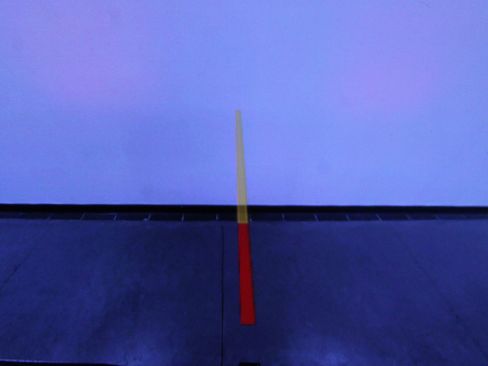 Used 2020 Chevrolet Silverado 1500 LT w/ All-Star Edition image 23