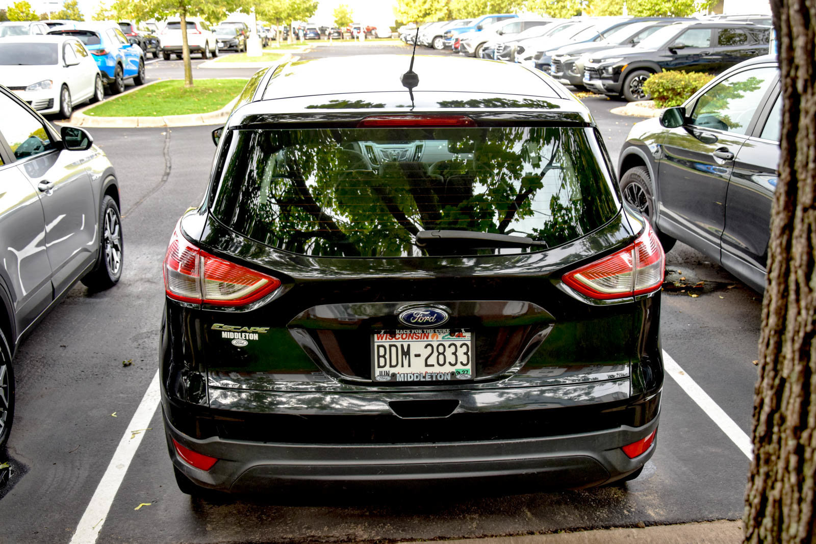 Used 2013 Ford Escape S FWD image 16