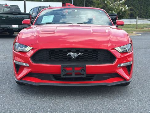 Used 2019 Ford Mustang Premium RWD image 3