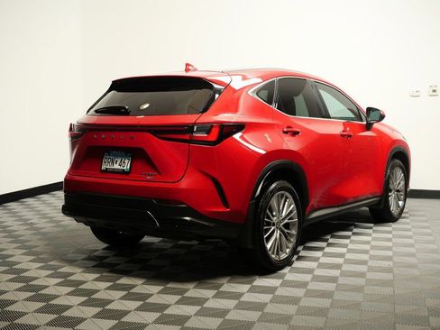 Certified 2025 Lexus NX 350 AWD w/ Premium Package image 6