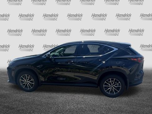 Used 2025 Lexus NX 350 AWD w/ Accessory Package (2T) image 7
