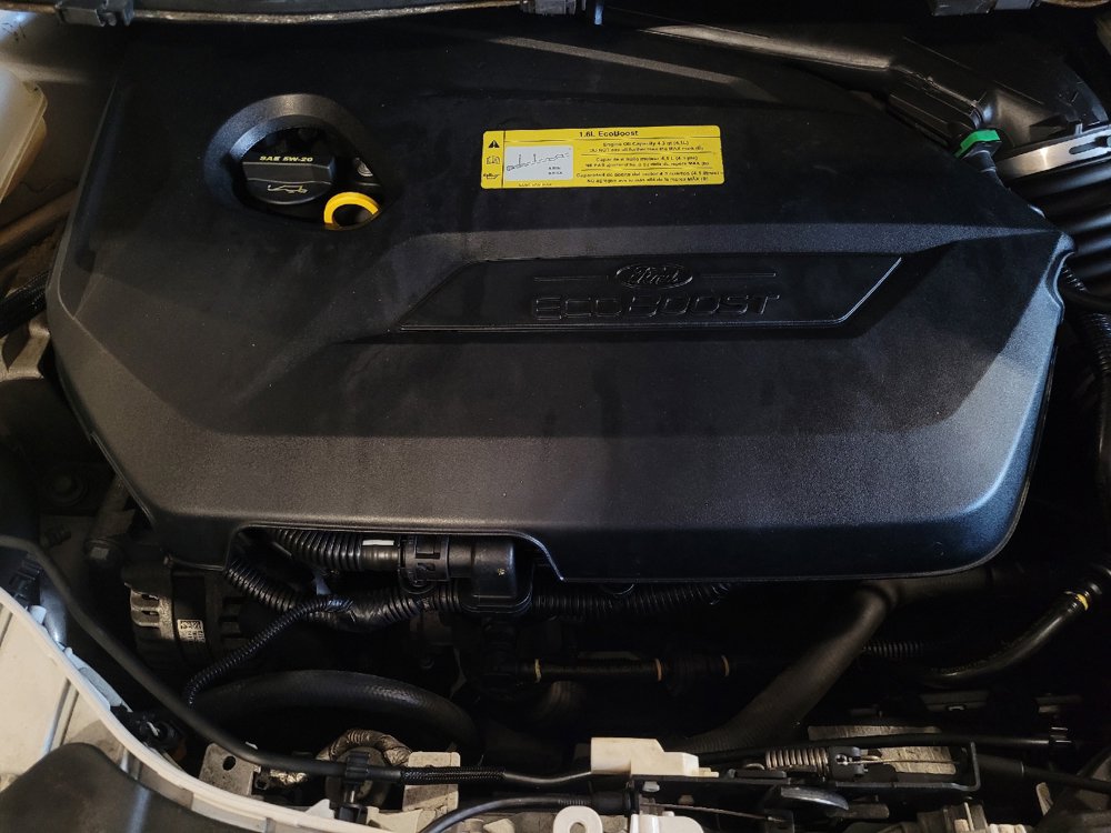 Used 2014 Ford Escape SE FWD image 30