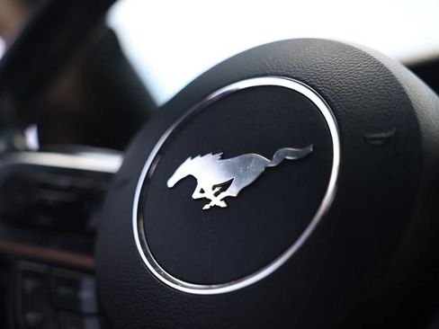 Used 2019 Ford Mustang GT image 29