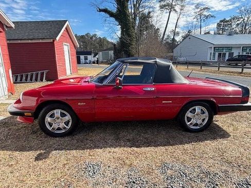 Used 1988 Alfa Romeo Spider Graduate image 2