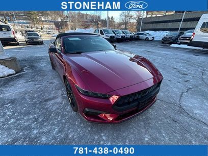 Used 2025 Ford Mustang Premium w/ Mustang Nite Pony Package