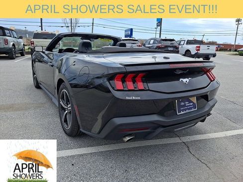 Used 2024 Ford Mustang Premium image 8