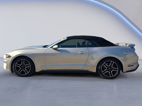 Used 2019 Ford Mustang Premium RWD image 3