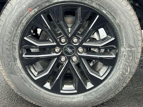 New 2026 Ford F150 XLT w/ Equipment Group 302A MID image 14