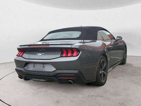 Used 2024 Ford Mustang Premium RWD image 3