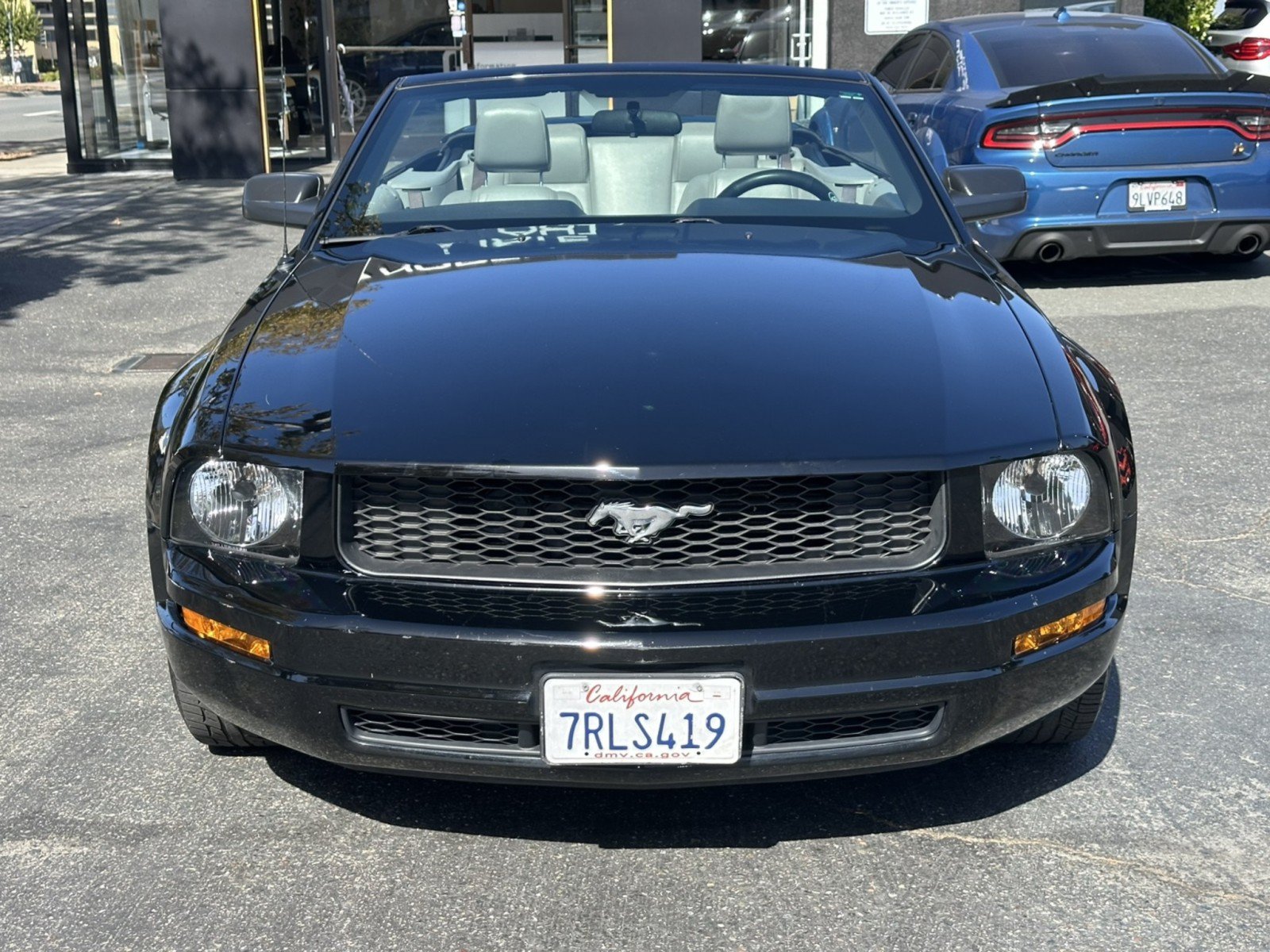 Used 2005 Ford Mustang Premium RWD image 5