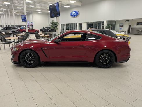 Certified 2019 Ford Mustang Shelby GT350 w/ Technology Package RWD image 6