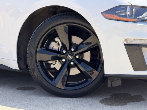 Certified 2021 Ford Mustang Premium w/ Black Accent Package RWD image 3