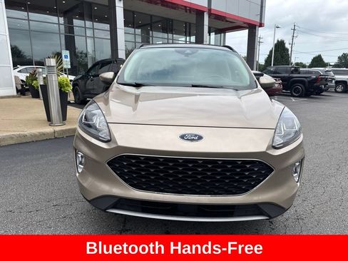 Used 2020 Ford Escape SEL AWD/4WD image 10