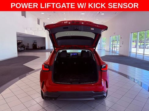 Certified 2024 Lexus NX 250 FWD w/ Cold Area Package image 7
