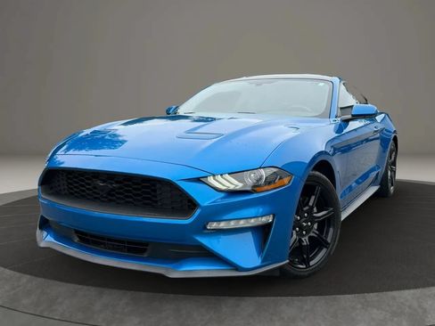 Used 2019 Ford Mustang Coupe w/ Equipment Group 101A RWD image 1