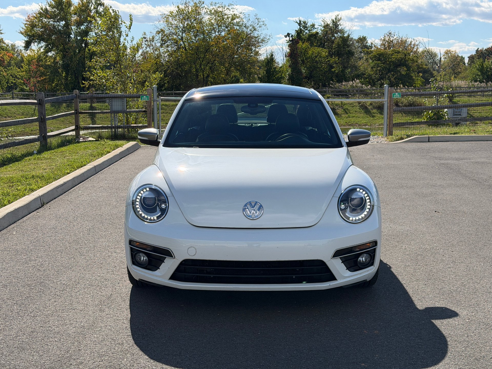 Used 2014 Volkswagen Beetle TDI FWD image 5