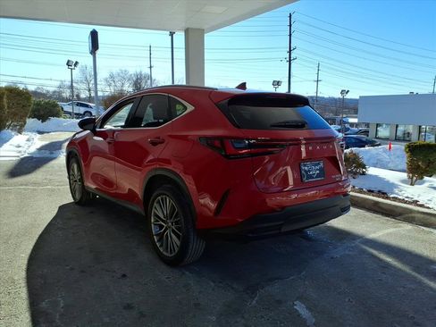 Certified 2024 Lexus NX 300h 350h Luxury image 4