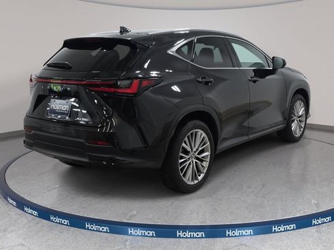 Used 2025 Lexus NX 350 AWD w/ Rear Seat Package image 5