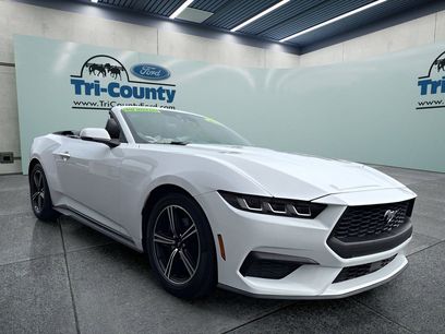 Used 2024 Ford Mustang Premium