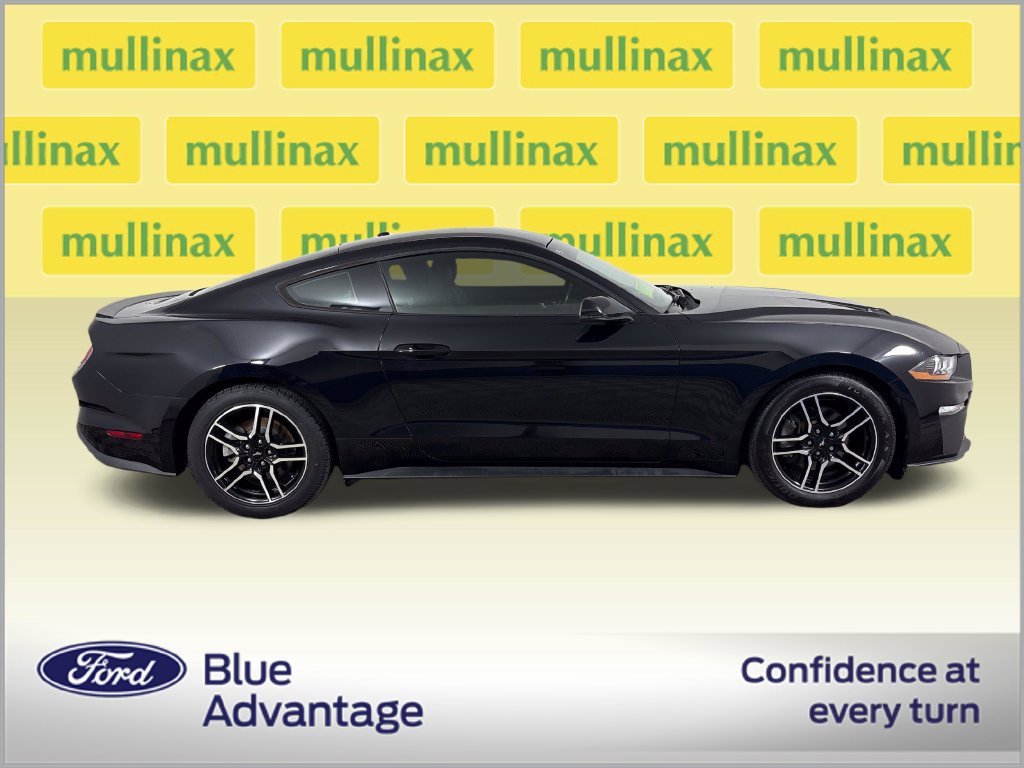 Used 2019 Ford Mustang Premium RWD image 2