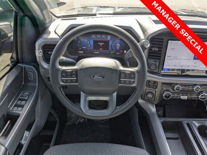 New 2025 Ford F150 XLT w/ Equipment Group 303A High