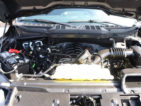 Used 2025 Ford F150 XLT w/ Equipment Group 301A Standard AWD/4WD image 11