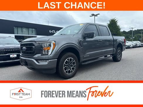 Used 2023 Ford F150 XLT w/ Equipment Group 302A High AWD/4WD image 1