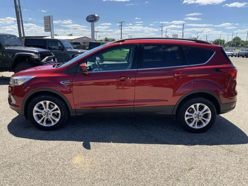 Used 2019 Ford Escape SEL AWD/4WD image 5