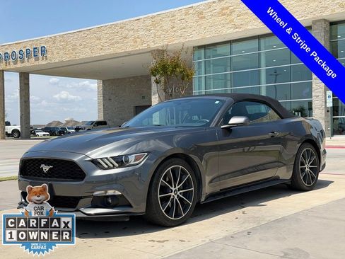 Used 2017 Ford Mustang Premium w/ Equipment Group 201A RWD image 9
