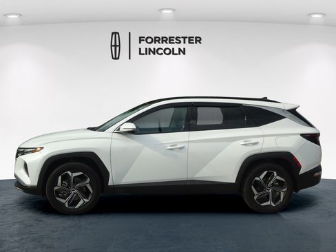 Used 2023 Hyundai Tucson Limited AWD/4WD image 6