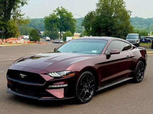 Used 2018 Ford Mustang Coupe w/ Ecoboost Performance Package RWD image 1